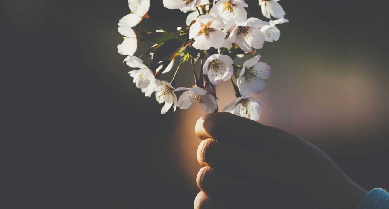 Emotional Healing Starts with Small Daily Rituals 1 - Tanfog
