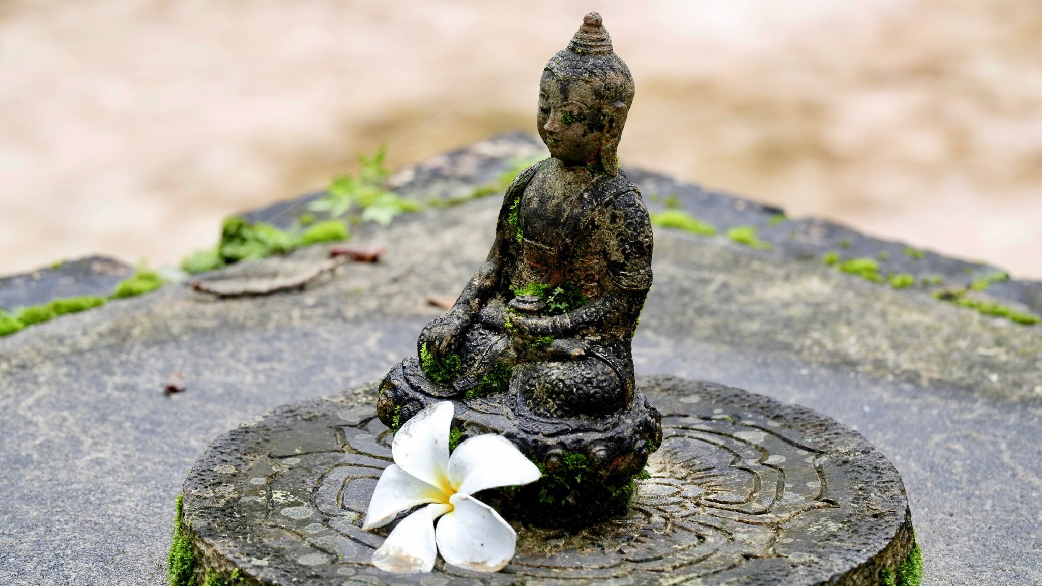 mindfulness objects2