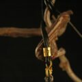Radiant Foxfire Presence Pendant - Image 5