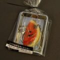 Watermelon Slice Keychain / Bag Charm|Summer heat. Metal bite. reworked refreshment. - Image 4