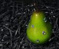 1:1 Green Pear Pendant / Ornament|Rustic sweetness, pierced by metal thorns - Image 3