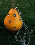 1:1 Yellow Pear Pendant / Ornament|Ripe to the point of decay. Caged in barbed wire. Two ways to fall. - Image 2
