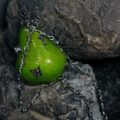 1:1 Green Pear Pendant / Ornament|Rustic sweetness, pierced by metal thorns - Image 5
