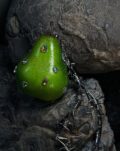 1:1 Green Pear Pendant / Ornament|Rustic sweetness, pierced by metal thorns - Image 6