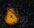 1:1 Yellow Pear Pendant / Ornament|Ripe to the point of decay. Caged in barbed wire. Two ways to fall. - Image 4