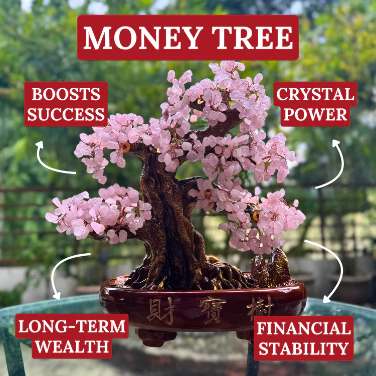 The Money Tree – Complete Feng Shui Guide of Meaning, Benefits, Best Placements, and How to Use - Tanfog