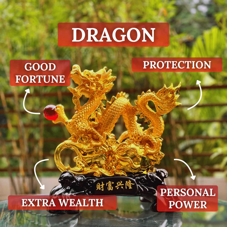 The Dragon – Complete Feng Shui Guide of Effects, Best Placements, and How to Use - Tanfog